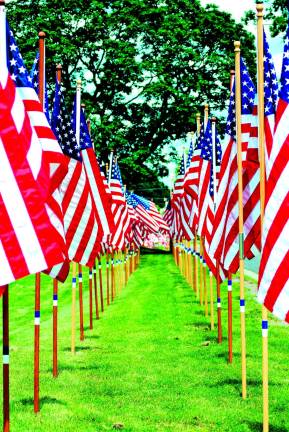Celebrate Independence Day with a military care package