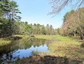 Aquifer/wetlands