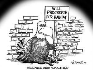 Cartoon BIRD HABITAT