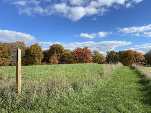 The trail at the Van Scott nature Reserve. Photo provided