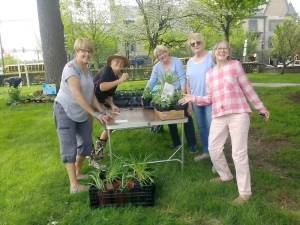 Pining for perennials? Milford Garden Club to hold sale this Saturday