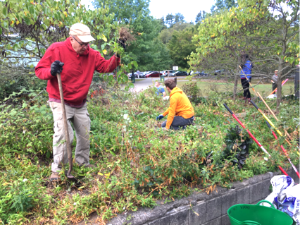 Delaware Water Gap NRA staff and volunteers participate in a volunteer project at the Milford Beach plaza.