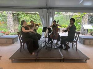 Terra String Quartet members (from left) violinist Harriet Langley, violinist Amelia Dietrich, cellist Audrey Chen, and violist Chih-Ta Chen.