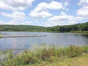 Cobey Pond (Photo provided)