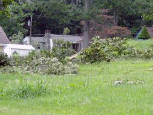 Tropical Storm Isaias blasted into Vernon, in Sussex County, N.J., last August with what many say was the equivalent to Super Storm Sandy (Photo by Janet Redyke)