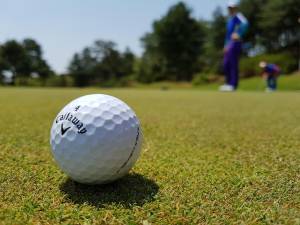 Golf outing to benefit area programs