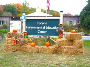 PEEC’s annual Harvest Festival to feature hikes, games, music, crafts &amp; more