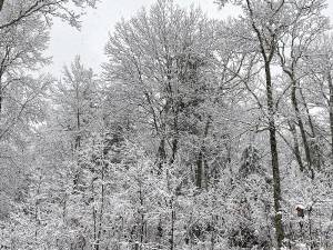 Milford. Snow makes an infrequent appearance