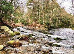 The Hallett conservation easement protects the water of Mill Creek, and helps keep it clean and pure. Here, Mill Creek enters Brodhead Creek.