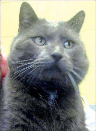 Port friends needing homes