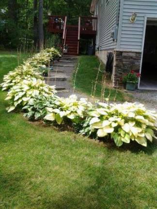 Corner bilevel has lake rights