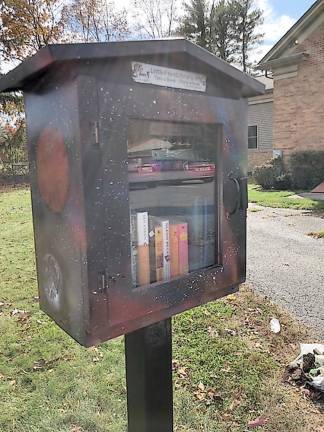 Pike's Little Free Library (Photo provided)