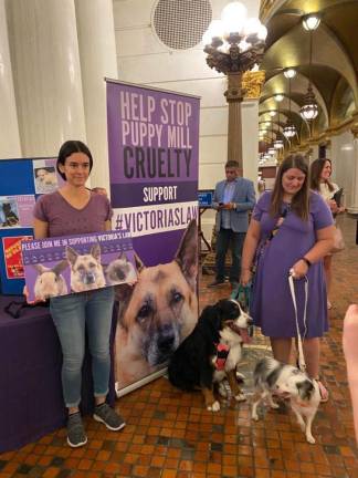 Signs and dogs at the rally in the Capitol Rotunda