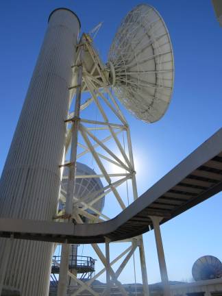Large antennae (Photo by Peg Snure)