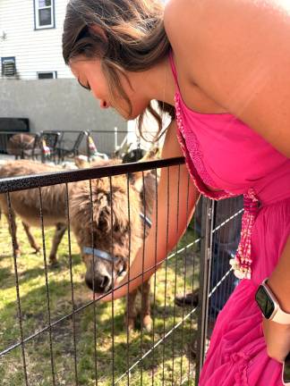 Olivia Van Tassell, daughter of Megan Strub, with one of the micro-mini donkeys.
