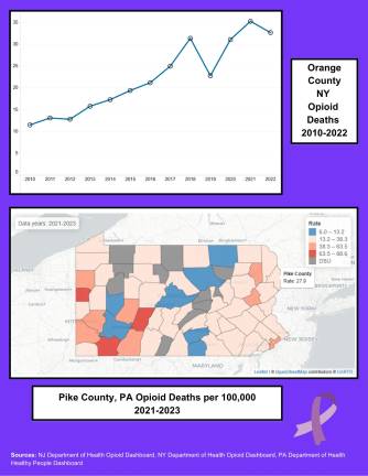 Opioid deaths fall in region