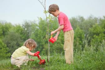 PA Greens organize for the 50th anniversary of Earth Day