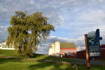 Community programs and workshops