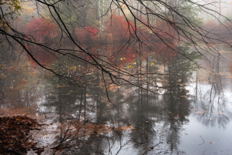 Winter Holiday Art Show