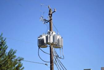 Weather, abetted by trees, drives record power outages, says PUC