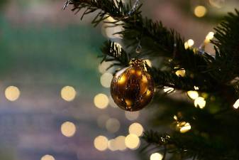 Tree lighting ceremony kicks of festive community season