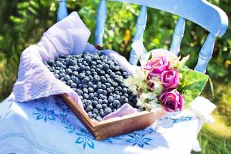 Fall Market to debut next month