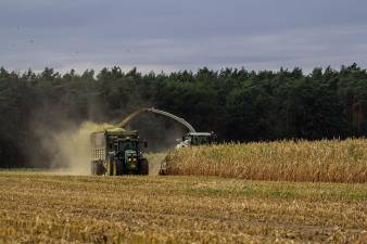SNAP cuts could hurt area farms, families