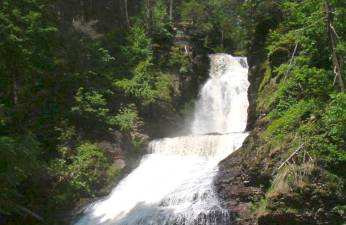 Dingman’s Falls.