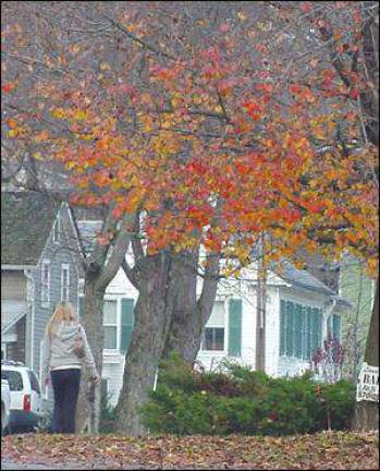 Fall's lingering colors