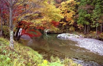 $12.5M funding awarded for watershed restoration