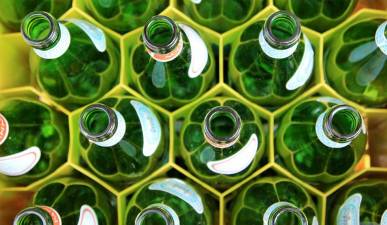 DEC to lead multi-agency effort to investigate bottle bill fraud