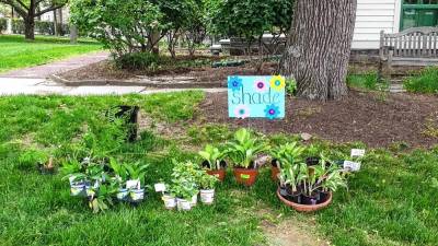 Just a few of the items sold by the garden club at a previous plant sale.