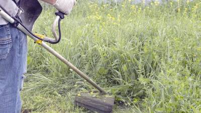 Milford passes property maintenance ordinance