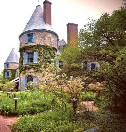 Lunch &amp; Learn session