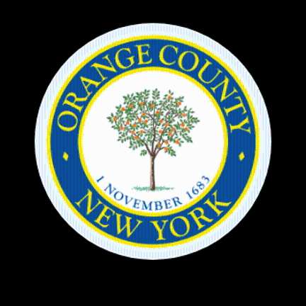 Two on the ballot for Orange County Executive: Neuhaus and Sussman