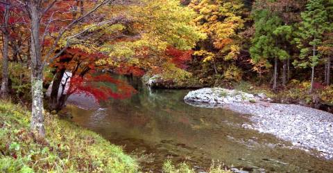 $12.5M funding awarded for watershed restoration