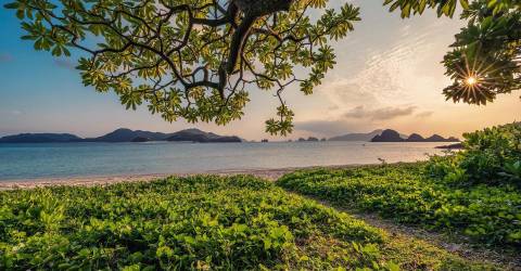 DEC: PFAS widespread in communities, nature