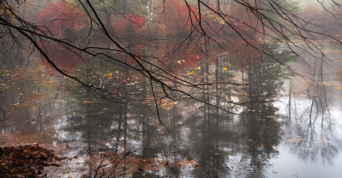 Winter Holiday Art Show