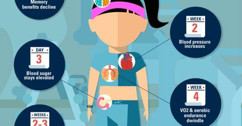 What happens to your body when you stop exercising?