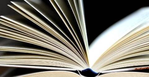 Two-day library book sale