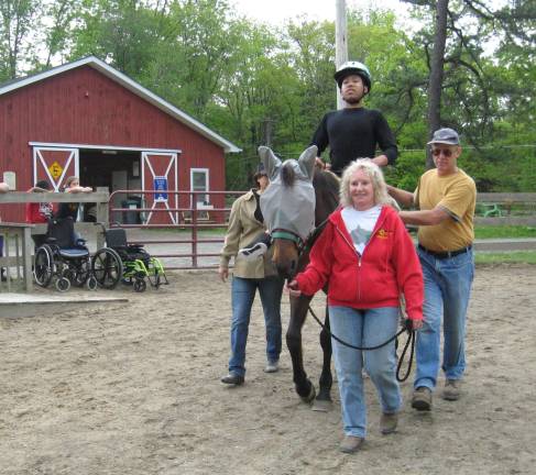 Dirty cars make clean horses