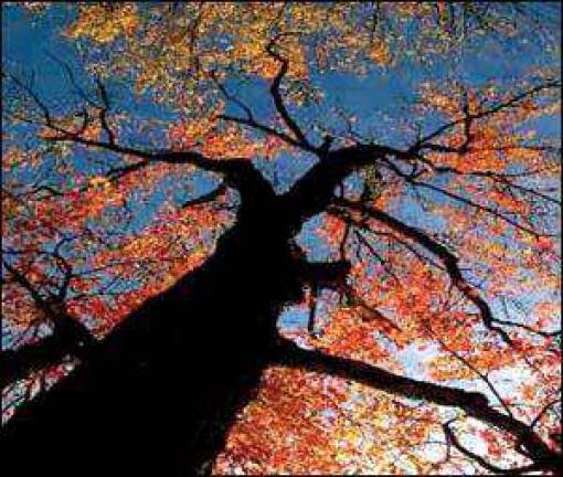 Artery launches celebration of 10-year anniversary