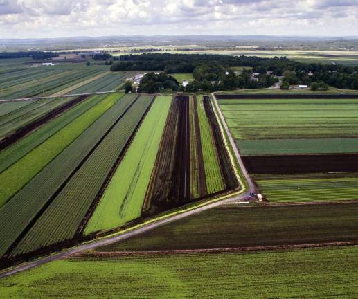 Photographer Robert G. Breese used a camera-drone to capture this image of this farm road that cuts through these fields of the black dirt region off Pulaski a Highway in Warwick.