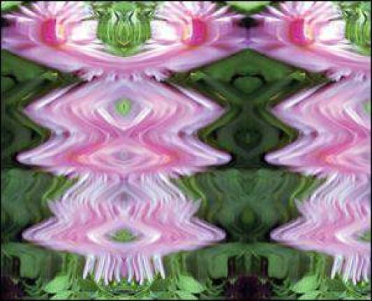 Zimmerman photography at the Highlands Photo Guild