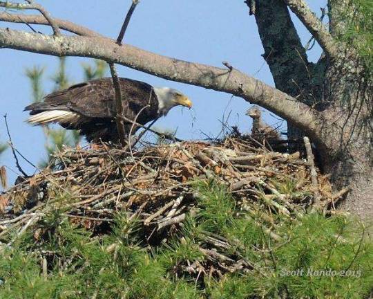 Photo: Upper Delaware Recreational River Facebook photo