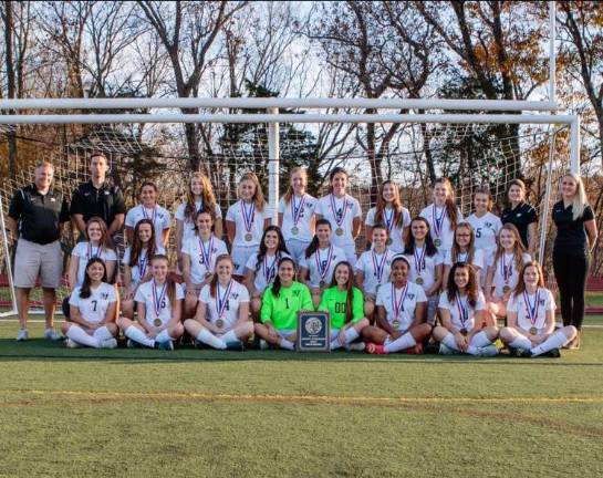 Delaware Valley High School girls soccer team (Photo courtesy of Christine Cavallaro)