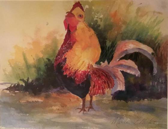 Rooster (watercolor) by Marie Fluhr
