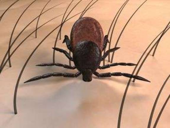 State: Lyme disease risk now present in all 67 counties