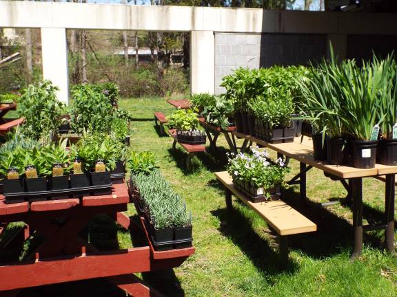The annual plant sale, with a variety of native plants available, will be held Saturday, May 9, and Sunday, May 10 from 9 a.m. to 4 p.m. or while supplies last.