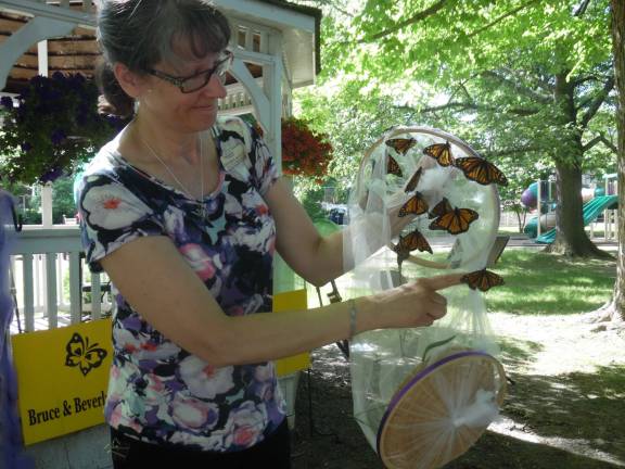 Photos by Anya Tikka Diana Sebzda, Director of Bereavement at The Hospice carefully releases large monarch butterflies from the net.
